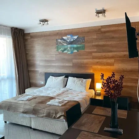 B7 Luxury In Life Apartment Bansko